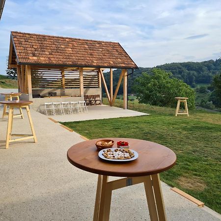Hisa Sonca Toti Breg Guest House Svecina Luaran gambar